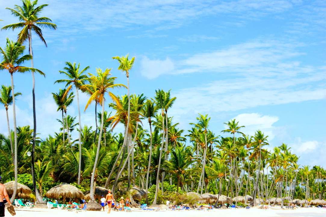 Brzeg playa Bavaro Grand Palladium Select Bávaro Resort & Spa