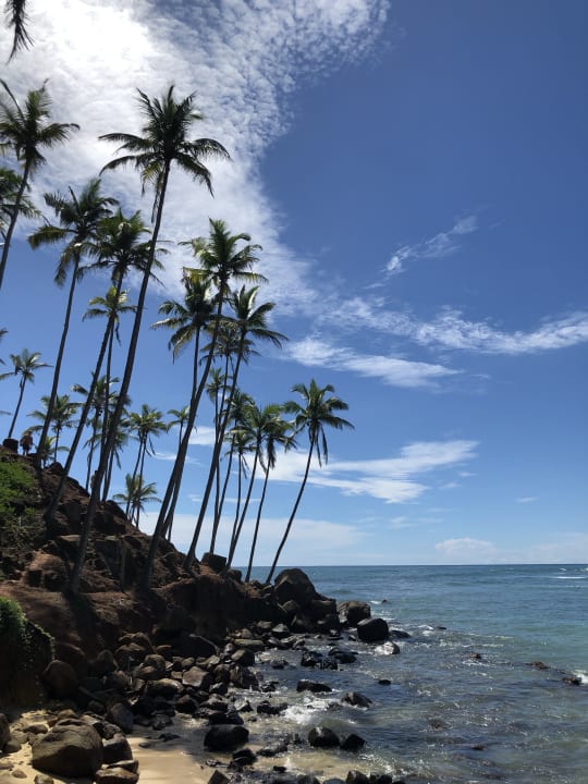 Strand Hotel Paradise Beach Club