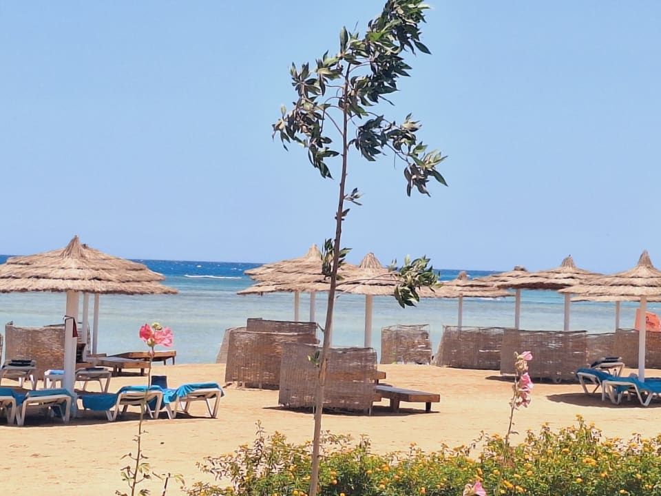 Strand Jasmine Palace Resort & Spa