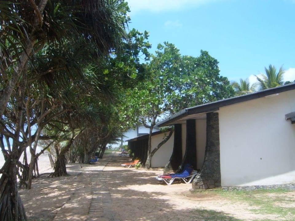 auf dem Weg zum Haupthaus an der Beachseite Hotel Koggala Beach
