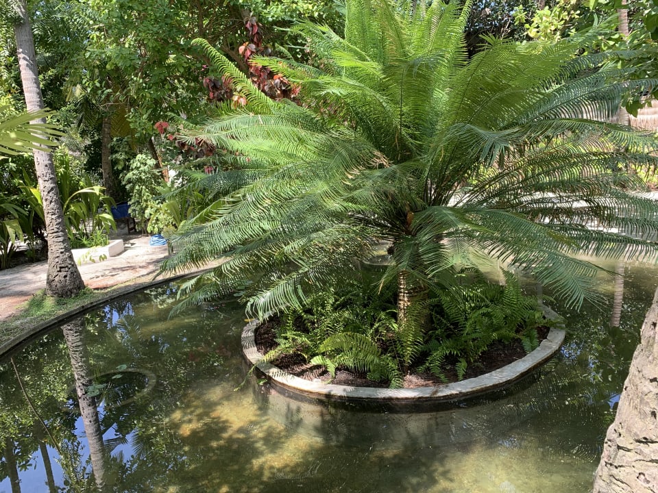 Gartenanlage Thulhagiri Island Resort