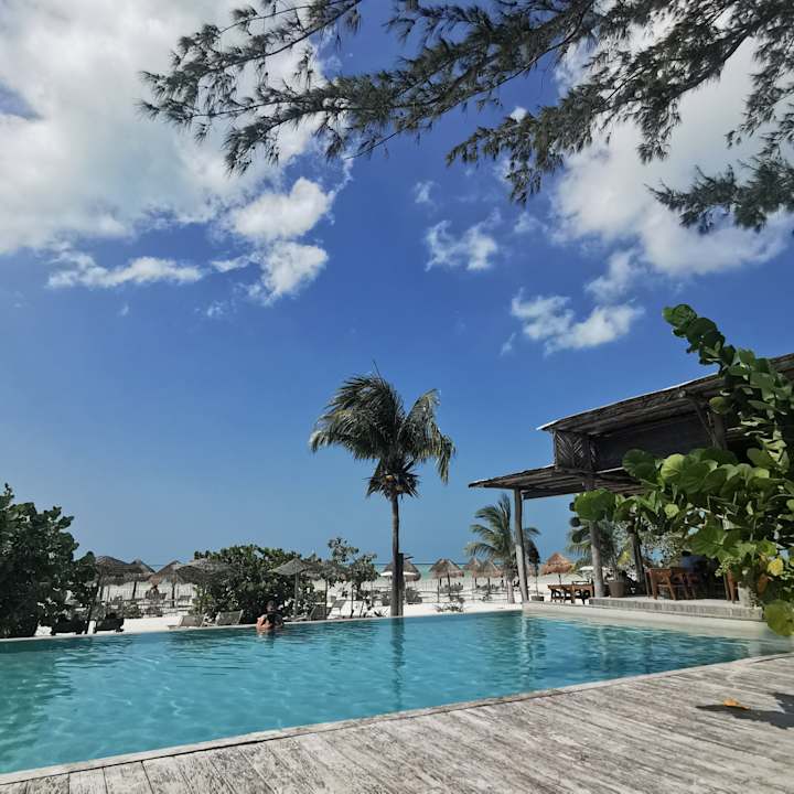 Pool My Blue Hotel Holbox