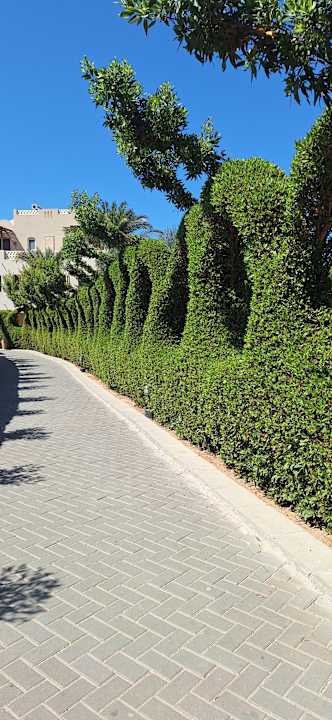 Sonstiges Jaz Makadi Oasis Resort