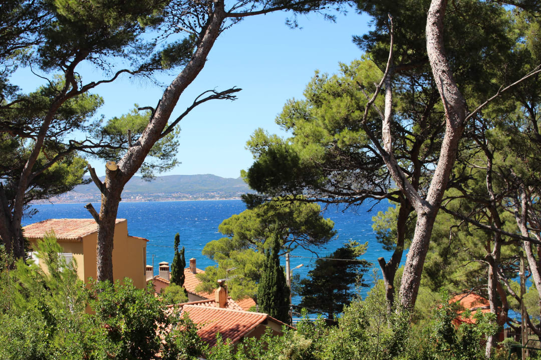 Blick auf das Meer Hapimag Resort La Madrague