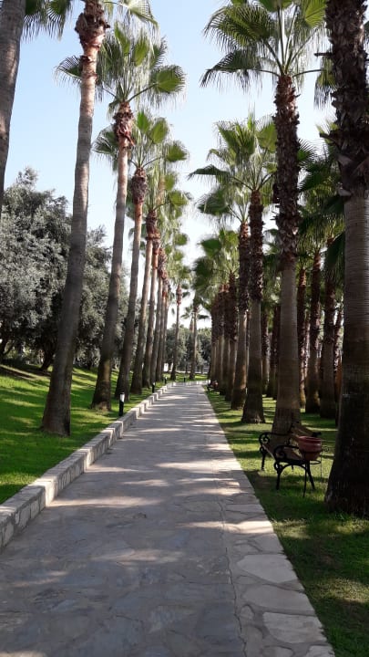 Gartenanlage Miramare Queen Hotel