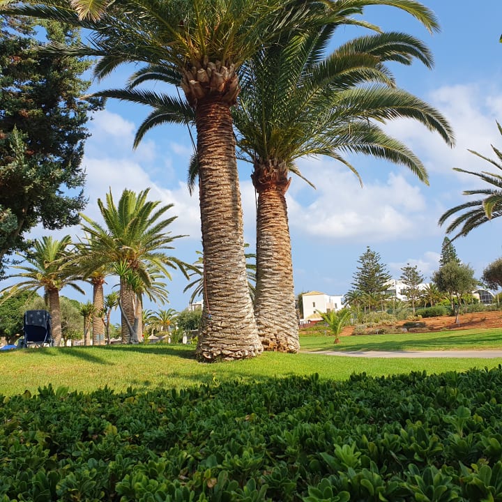 Gartenanlage Anissa Beach & Village