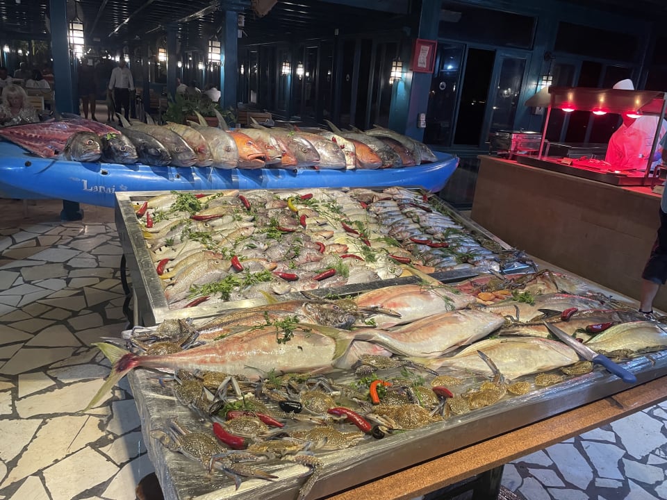 Gastro Club Paradisio El Gouna, Red Sea