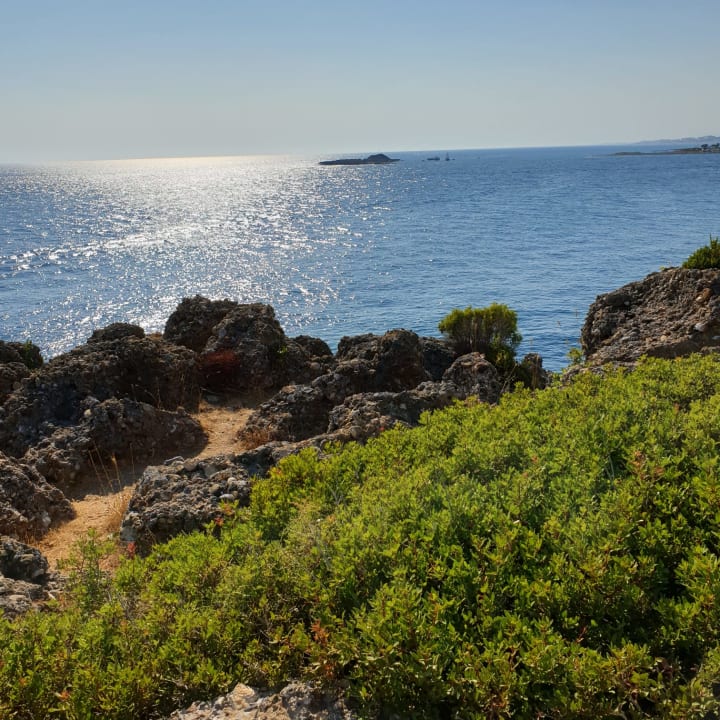 Ausblick Hotel Gardenia Beach