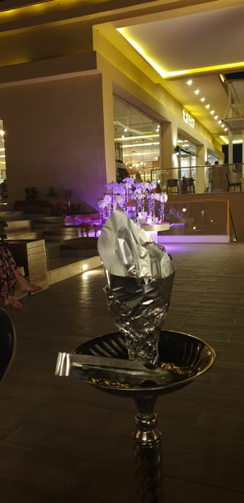 Sonstiges Pickalbatros Palace Resort