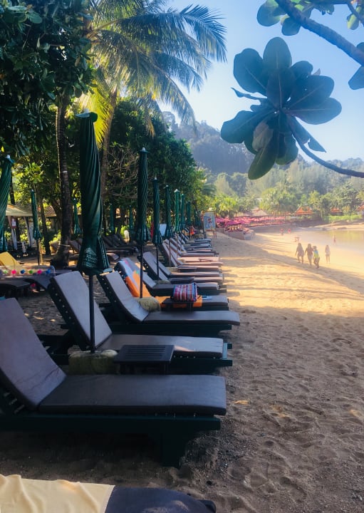 Immer ausreichend Liegen vorhanden Baan Khaolak Beach Resort