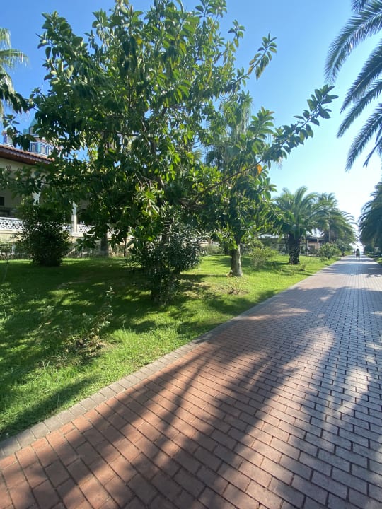 Gartenanlage Ali Bey Club