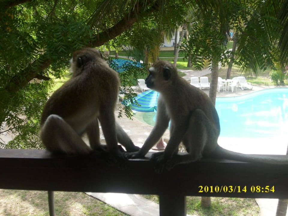 Odwiedziny PrideInn Flamingo Beach Resort & Spa