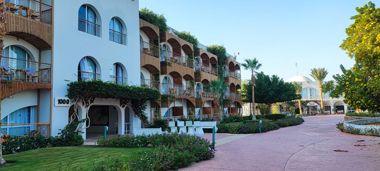 Sonstiges Desert Rose