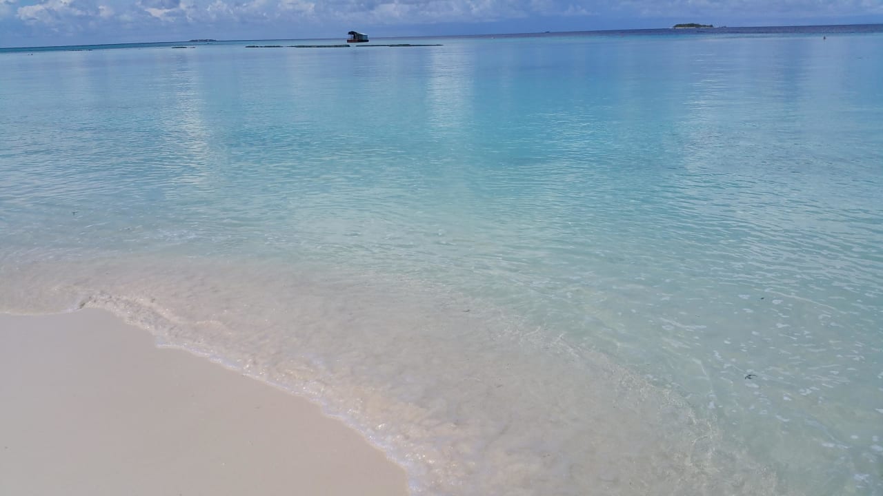 Strand Summer Island Maldives