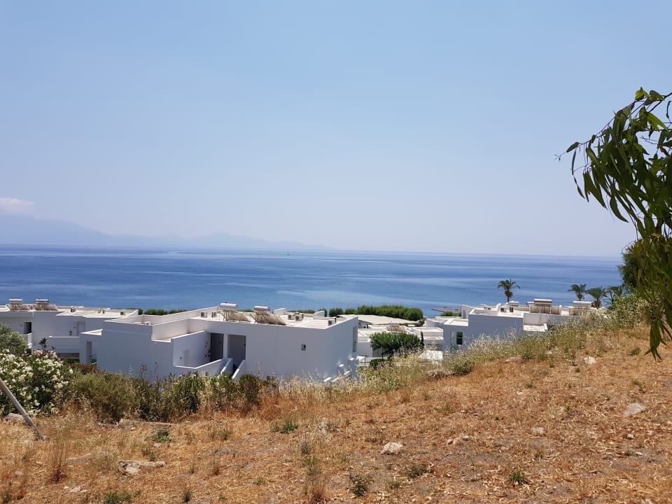 Ausblick Dimitra Beach Hotel & Suites