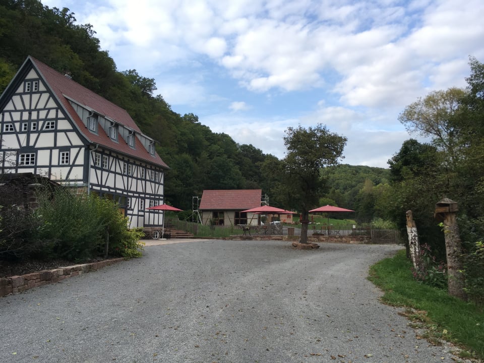 Ausblick Baumhaushotel Seemühle