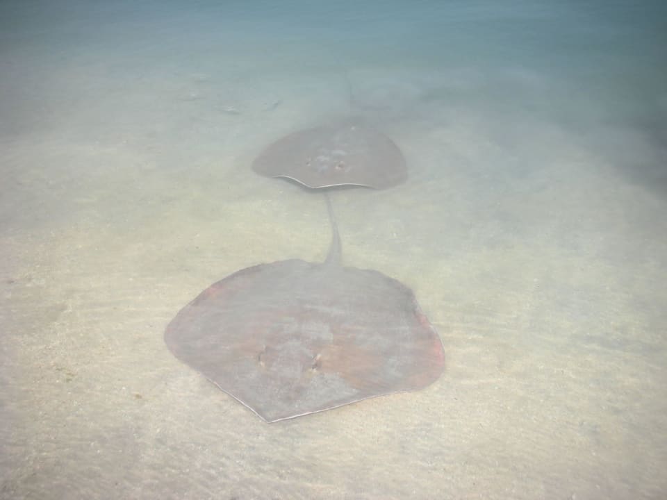 Ganz nah am Strand Rixos Bab Al Bahr