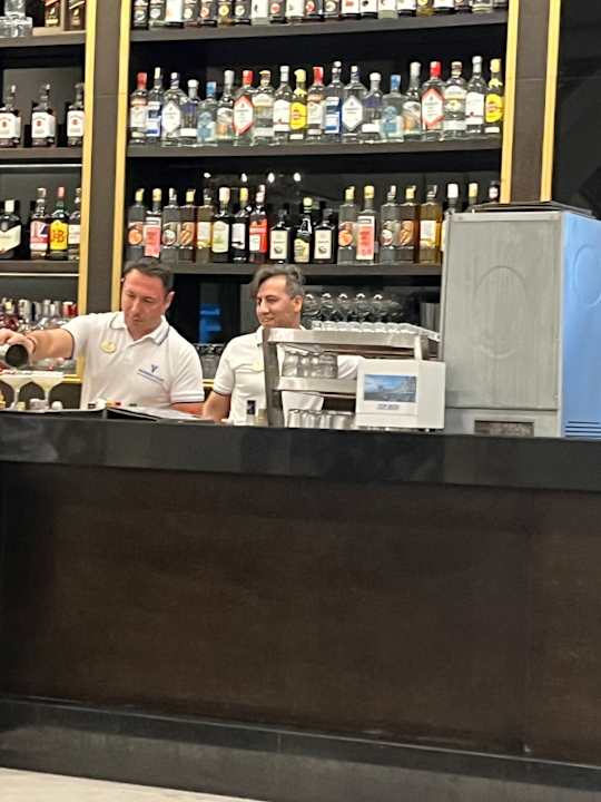 Lobby Haydarpasha Palace