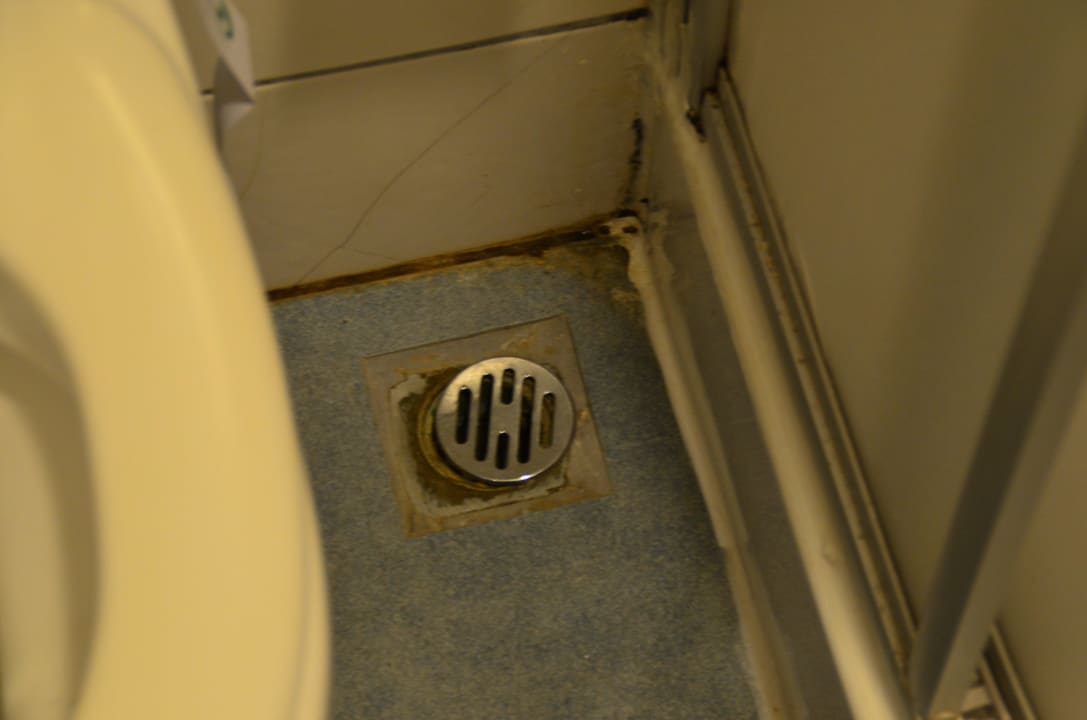 Abfluss im Bad Bitez Garden Life