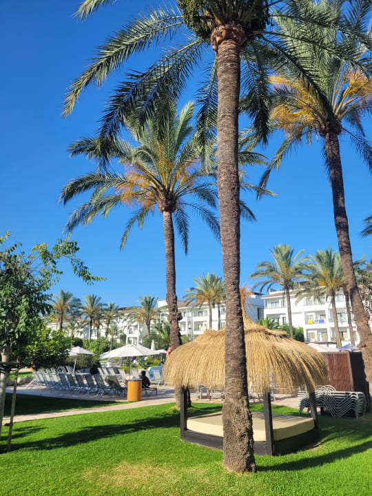 Gartenanlage Prinsotel La Dorada