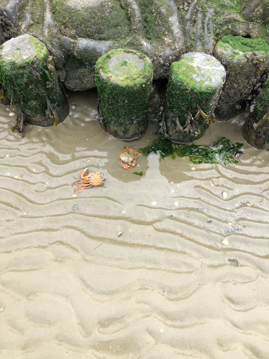 Strand Center Parcs Park Nordseeküste