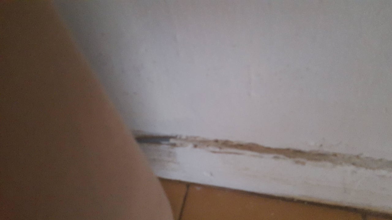 Schmutzige Leisten Tropical Attitude - Adults only