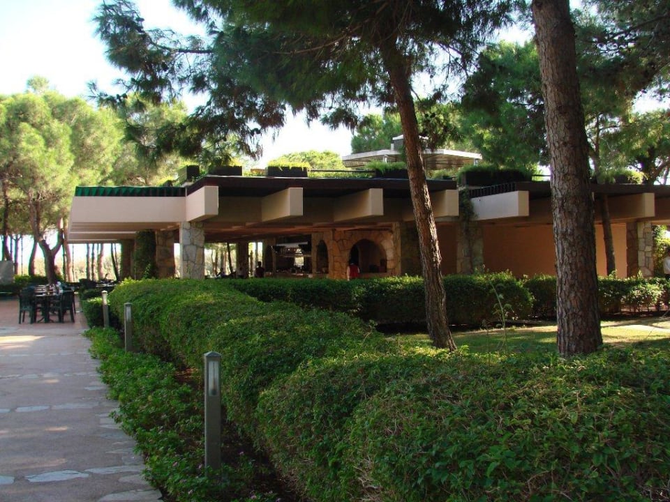 Piękny ogród Xanadu Resort Hotel