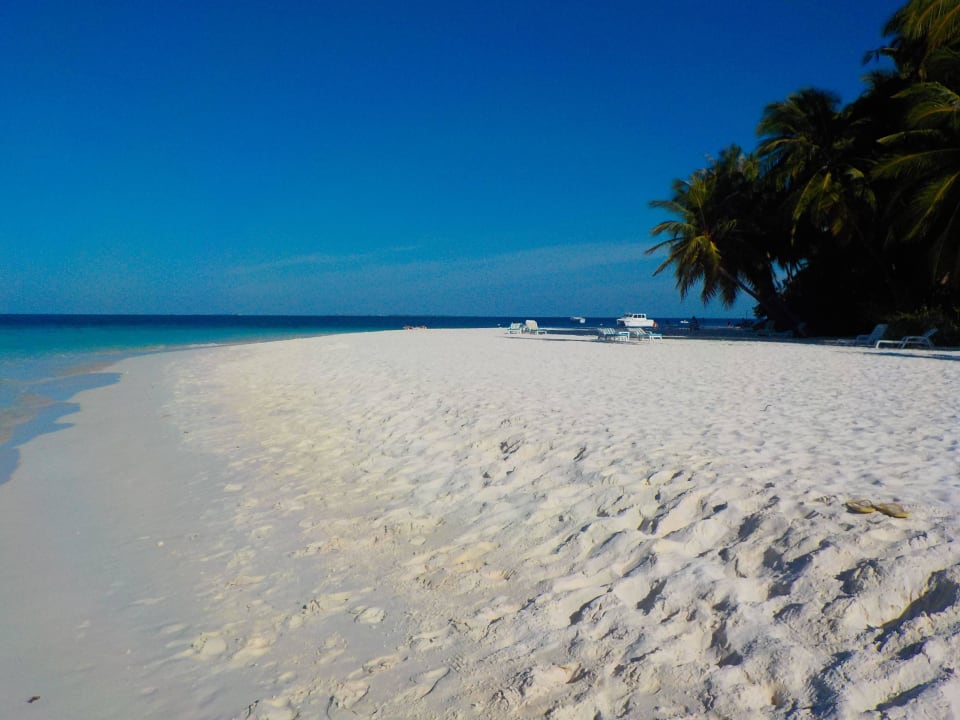 Strand Fihalhohi Maldives