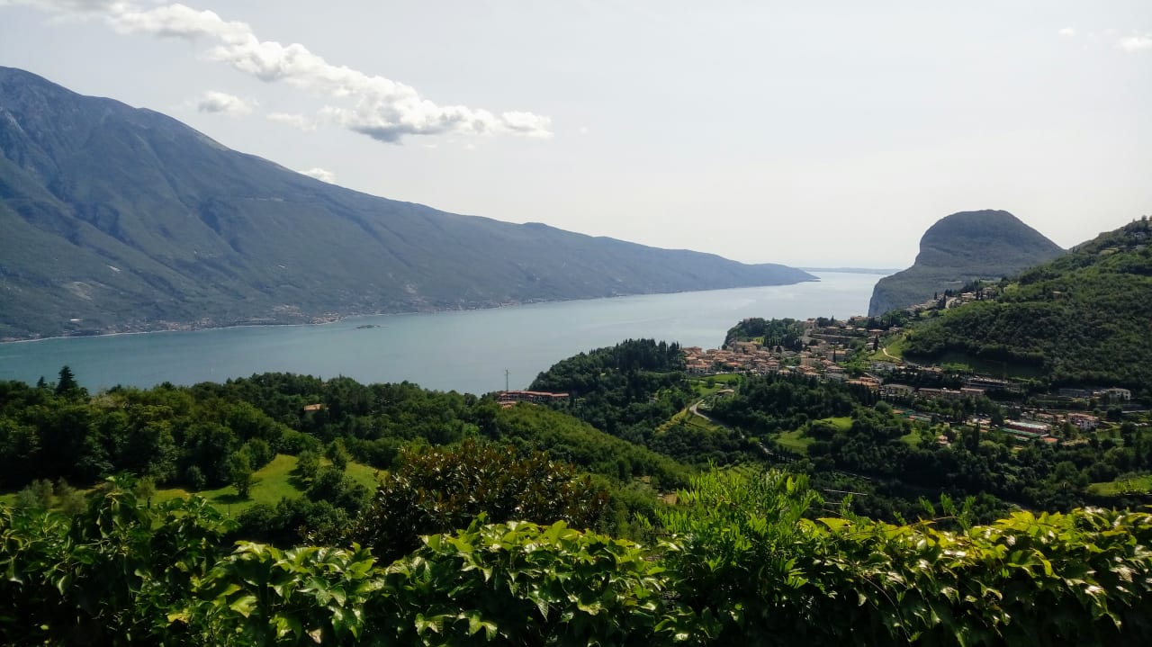 Ausblick Hotel Faver