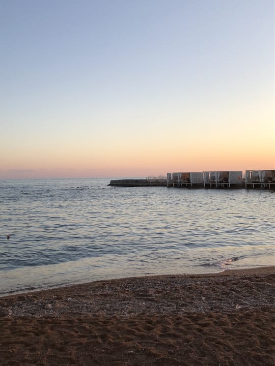 Strand Rubi Platinum Sign