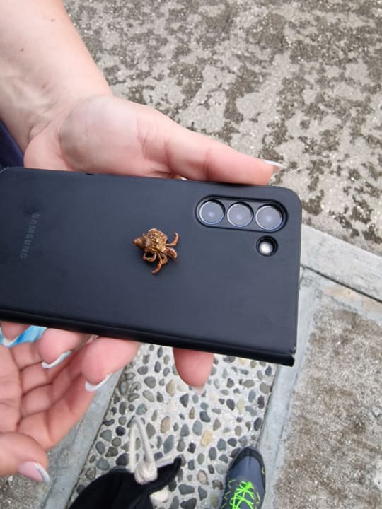 Sonstiges Royal Service at Paradisus Río de Oro Resort & Spa