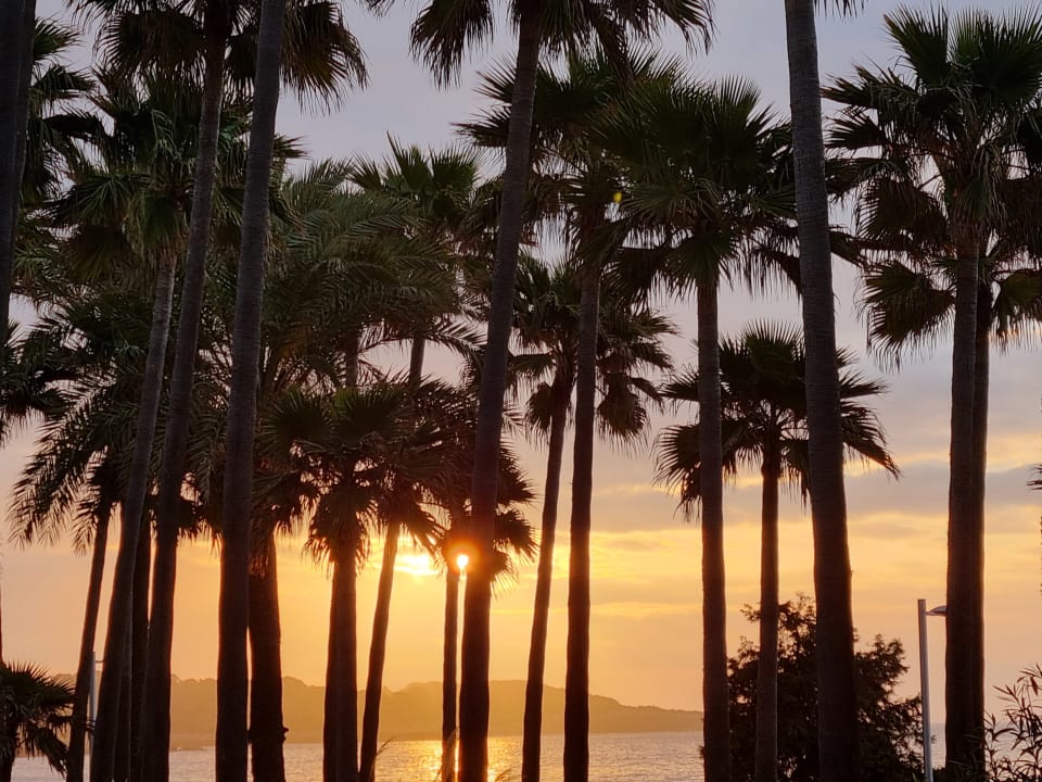 Strand Hipotels Mediterraneo Club