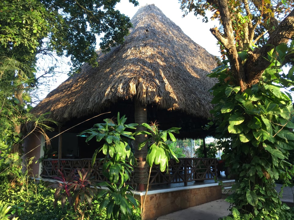 Gartenanlage Ecotel Quintana Regia