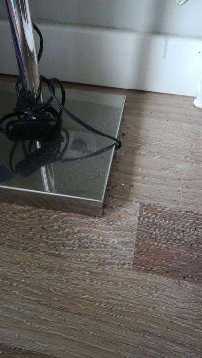 Zimmer Greenwood Kemer Resort