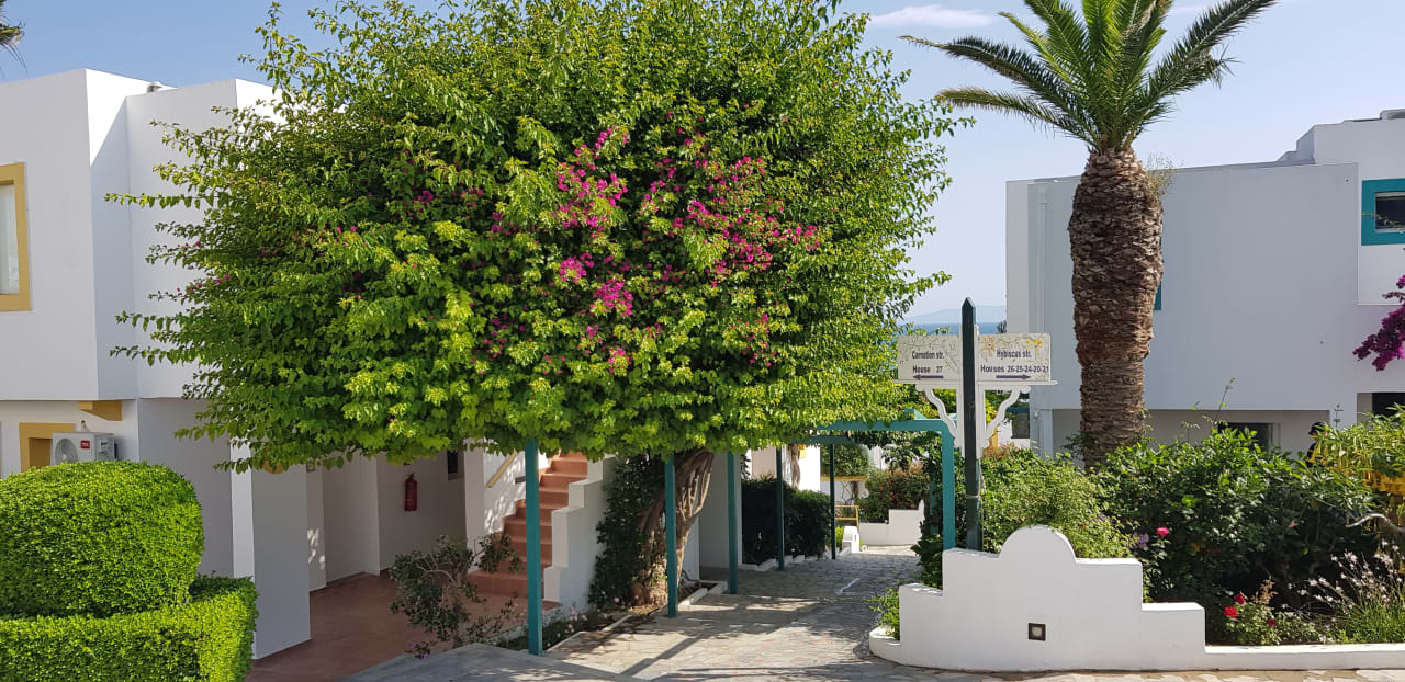 Gartenanlage Mastichari Bay Hotel
