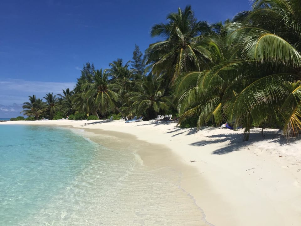 Strand Summer Island Maldives