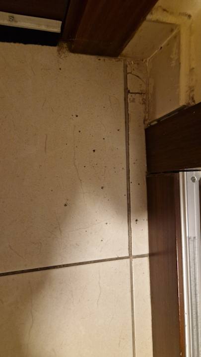 Zimmer Kamelya Aishen Club