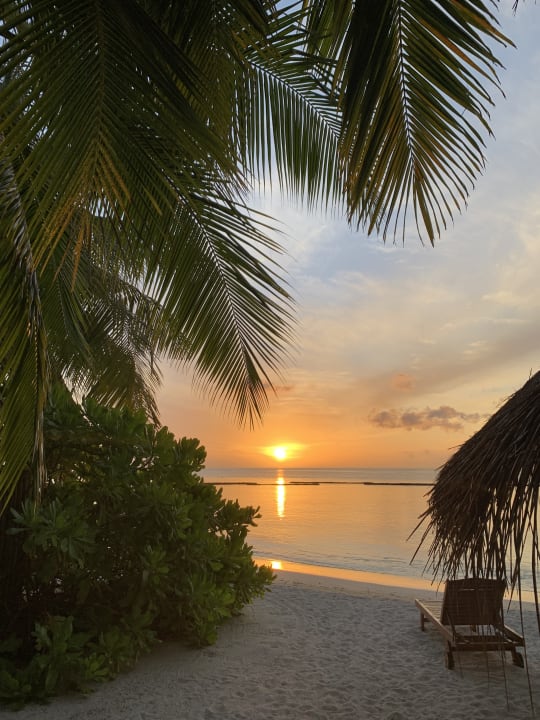 Strand Sun Siyam Vilu Reef
