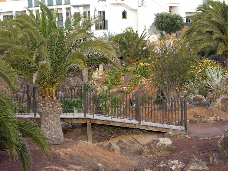 Garten Hotel Las Marismas de Corralejo
