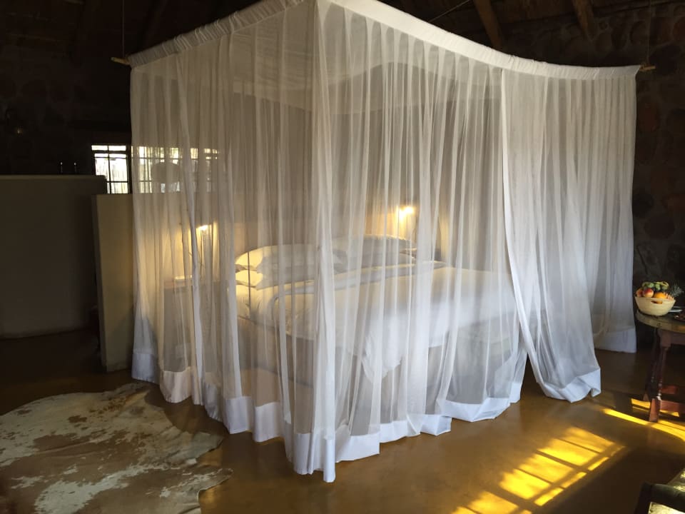 Zimmer Motswari Private Game Reserve & Geiger's Camp