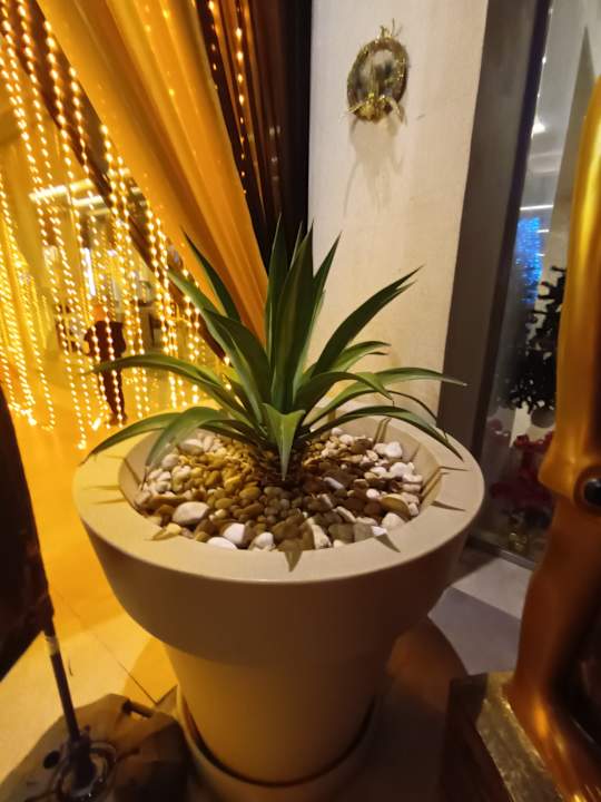 Lobby Amarina Abu Soma Resort & Aquapark