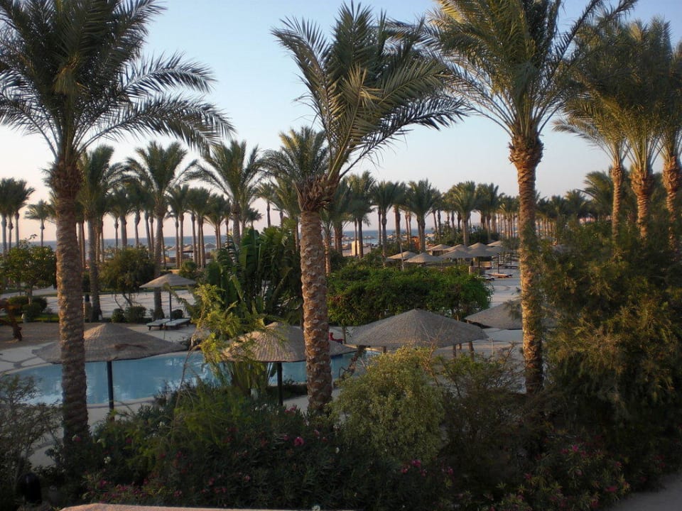 Blick von der Terrasse Grand Makadi