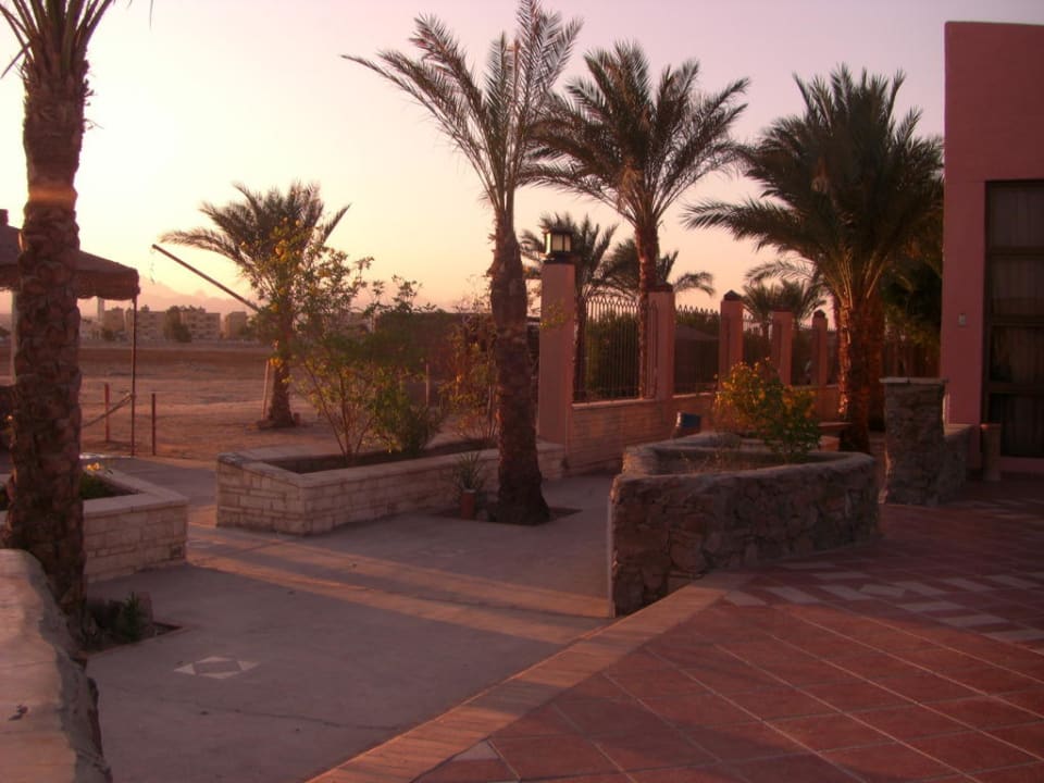 Am Abend, sehr schön Eagles Paradise Abu Soma