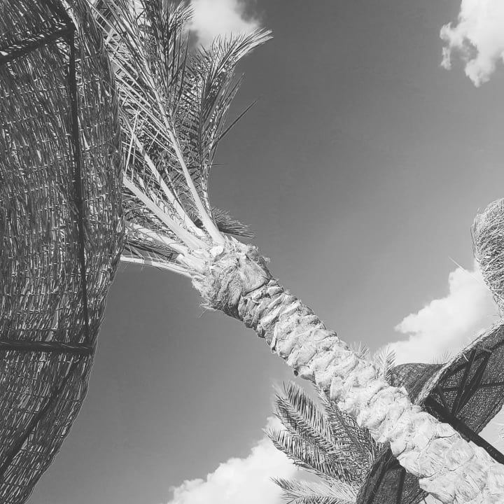 Sonstiges Three Corners Sea Beach Resort