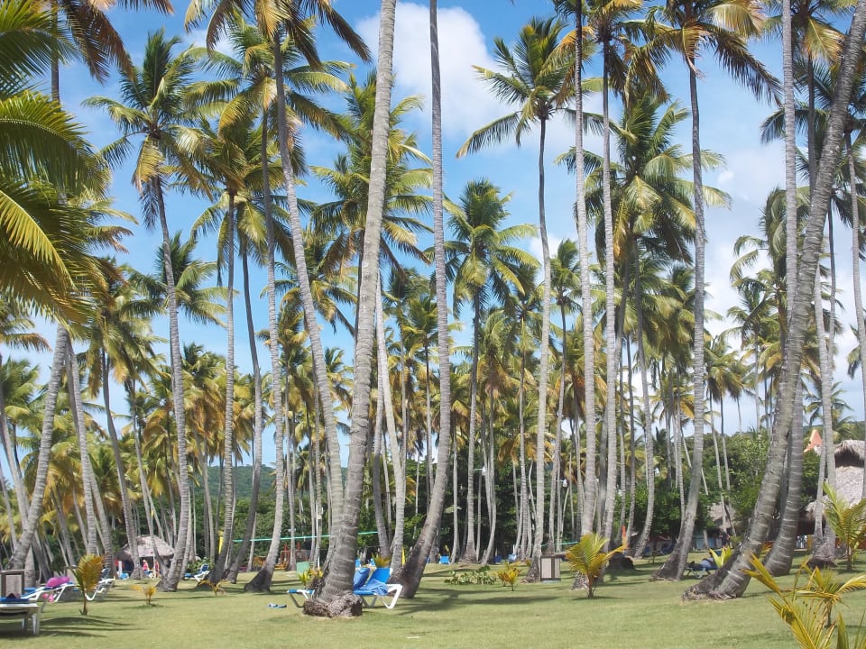 Hotelgarten Wyndham Alltra Samana