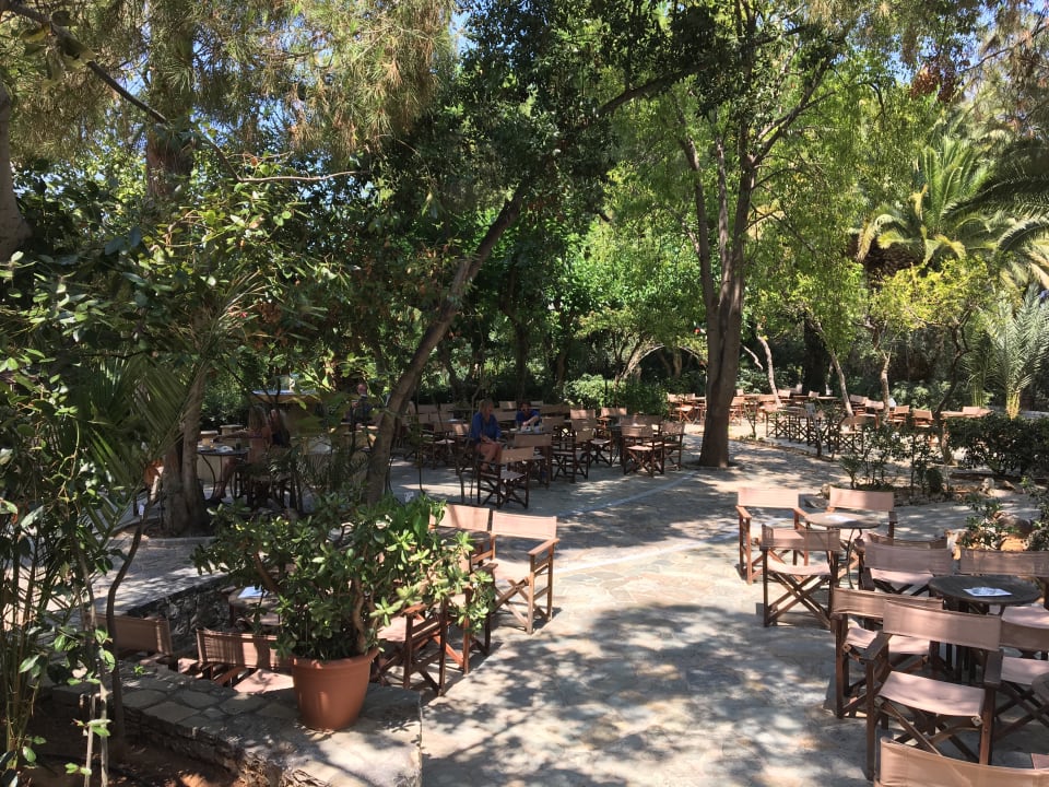 Gartenanlage Apollonia Beach Resort & Spa