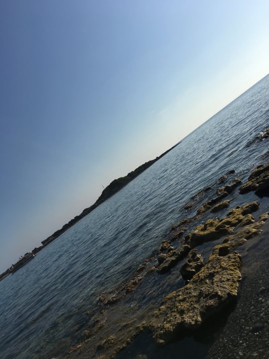 Strand Hotel Gardenia Beach