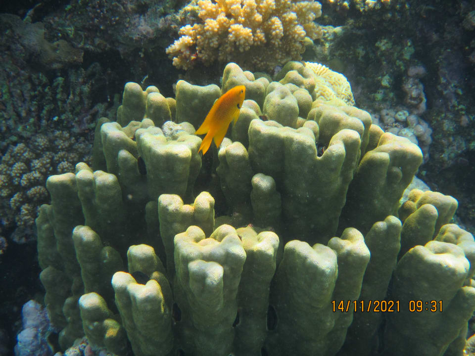 Sport & Freizeit Cleopatra Luxury Resort Makadi Bay