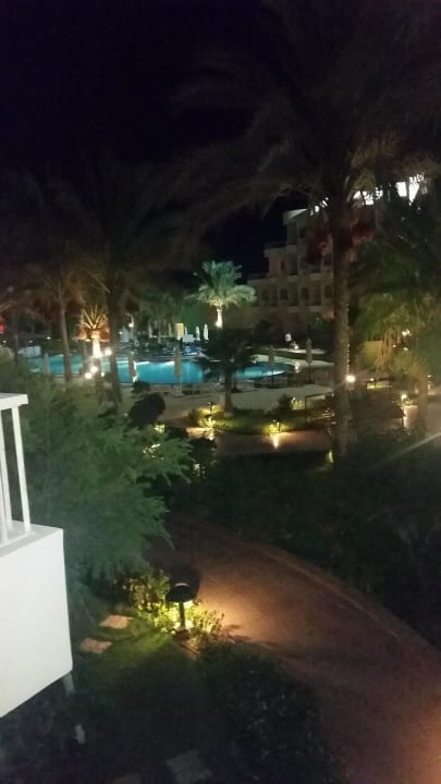 2. Stock  Sea Star Beau Rivage