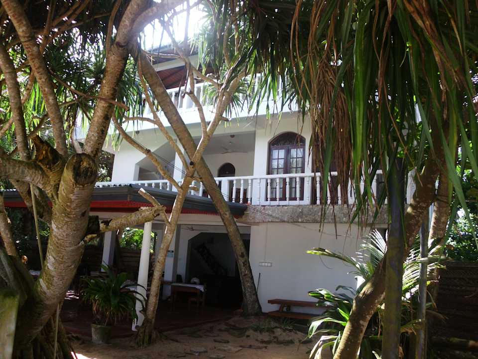 Vom Garten auf die Terrasse (Strandseite) Hotel Haus am Meer Wilde Ananas